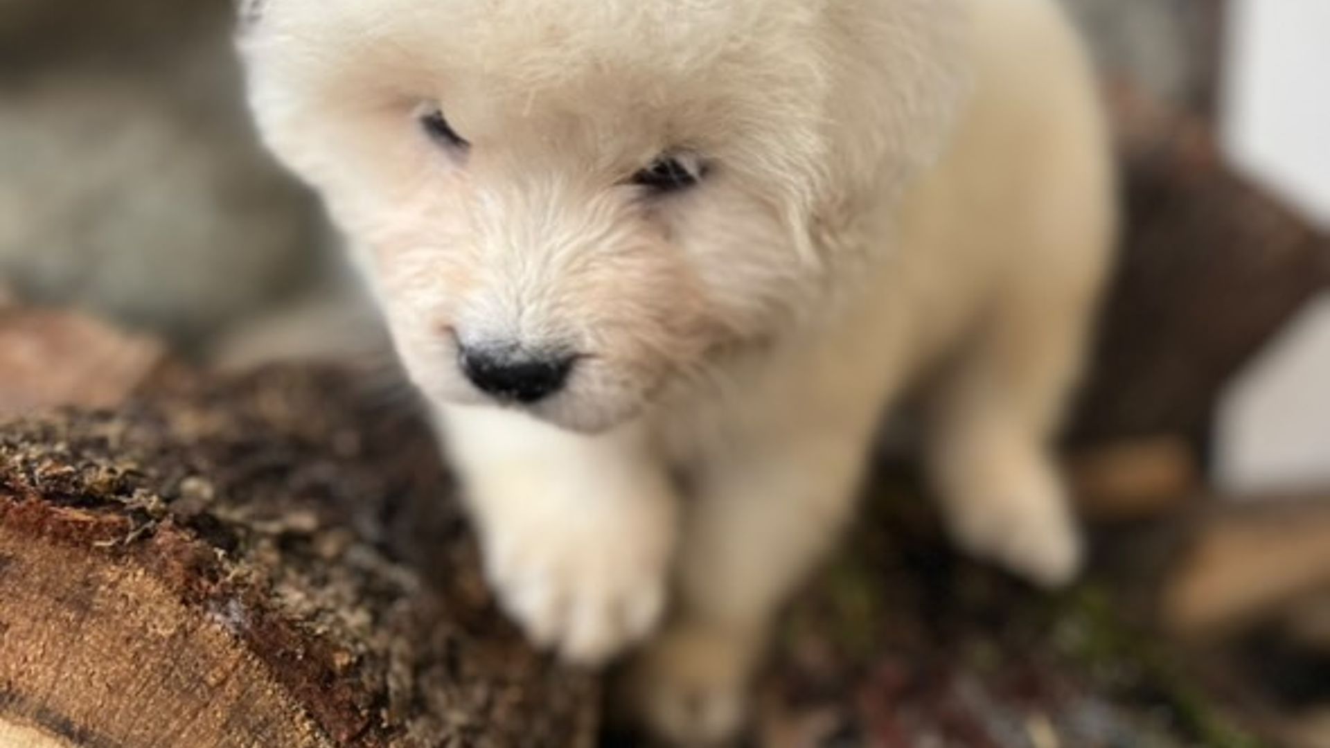 [Translate to Deutsch:] 