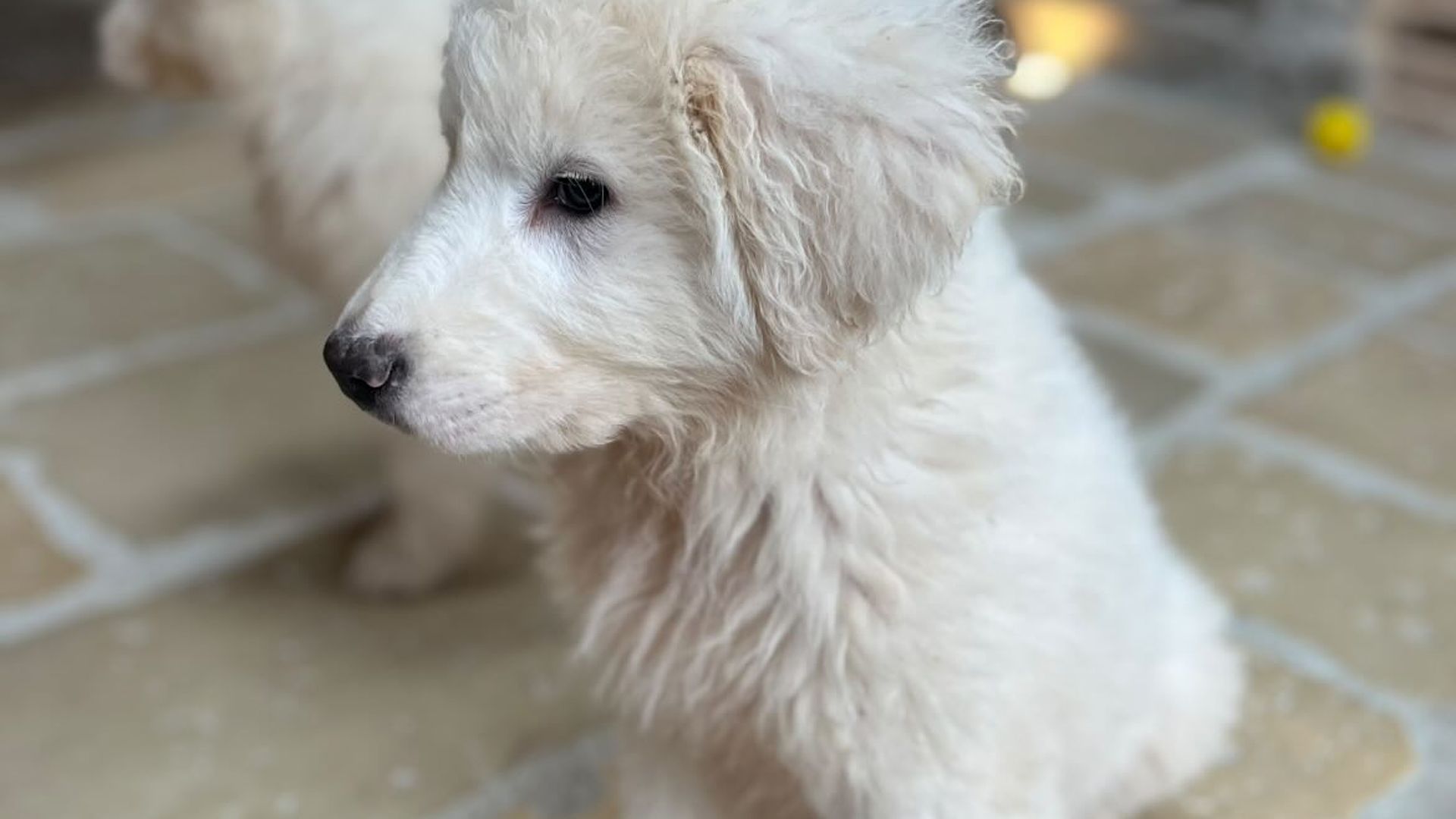 [Translate to Deutsch:] 