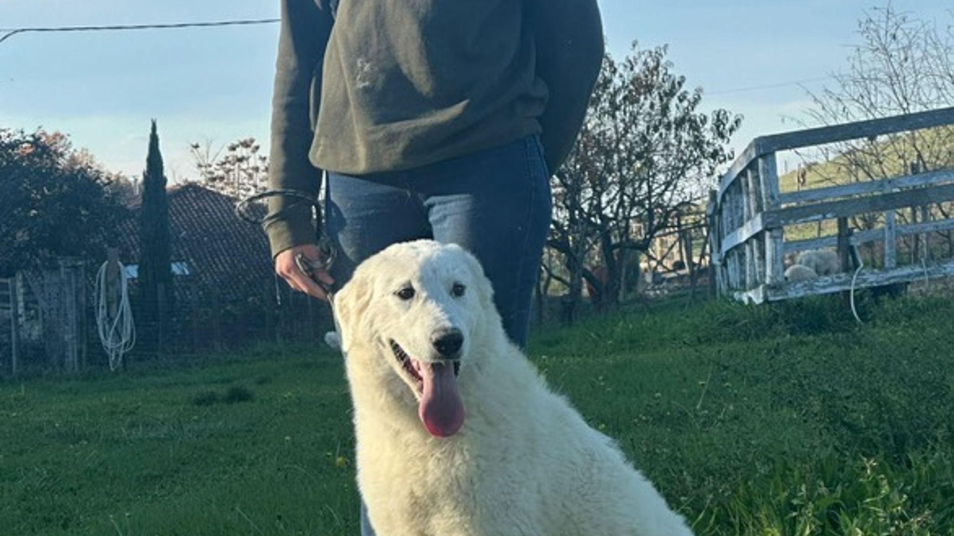 [Translate to Deutsch:] 