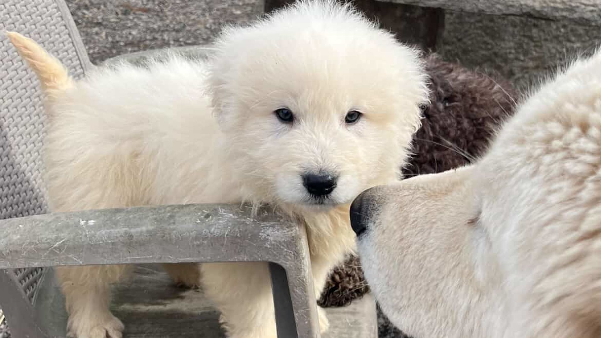 [Translate to Deutsch:] 