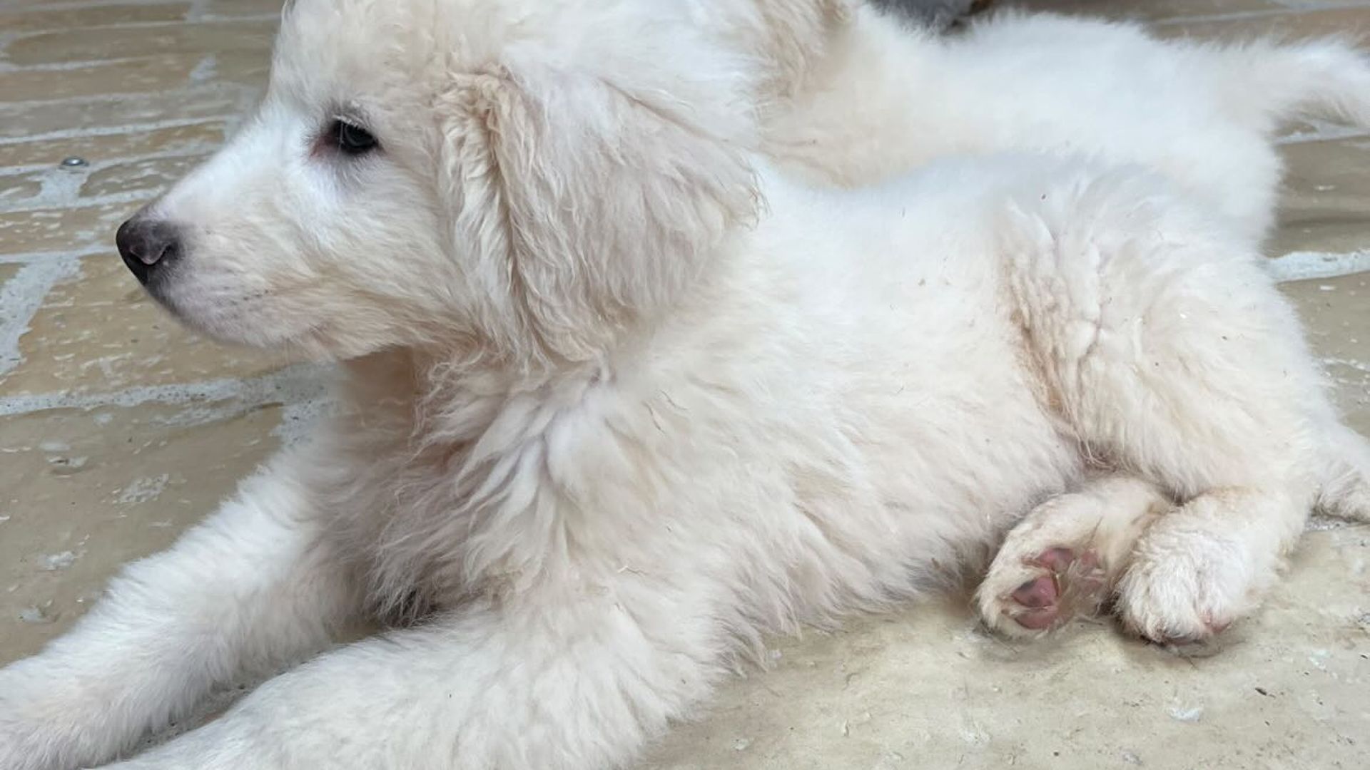 [Translate to Deutsch:] 