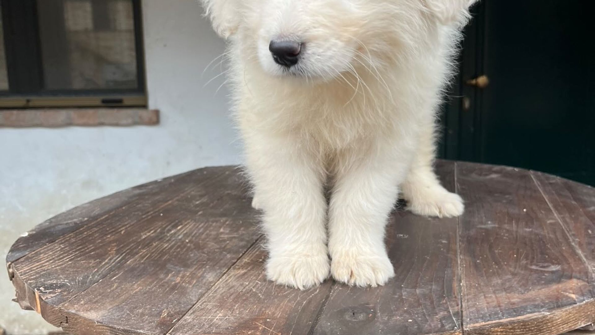 [Translate to Deutsch:] 