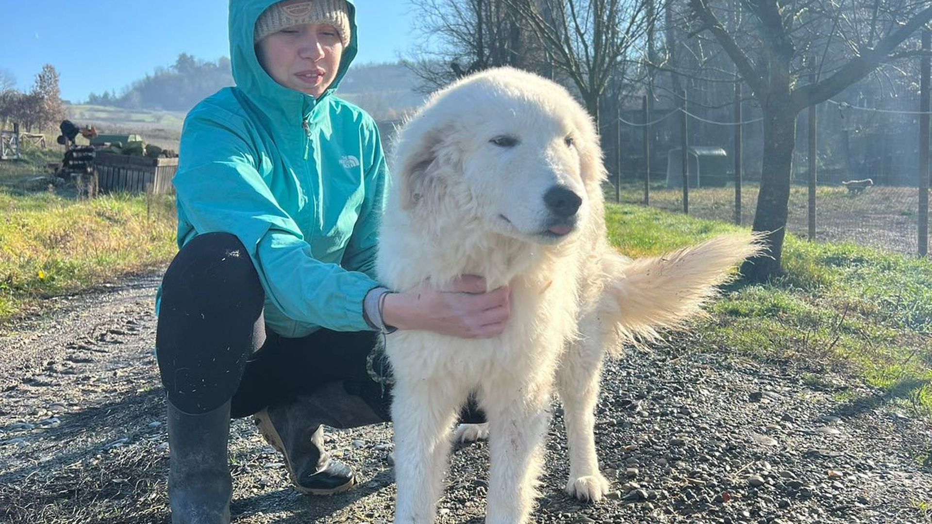 [Translate to Deutsch:] 