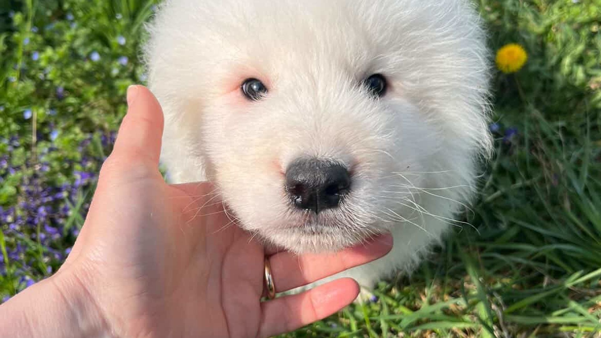 [Translate to Deutsch:] 