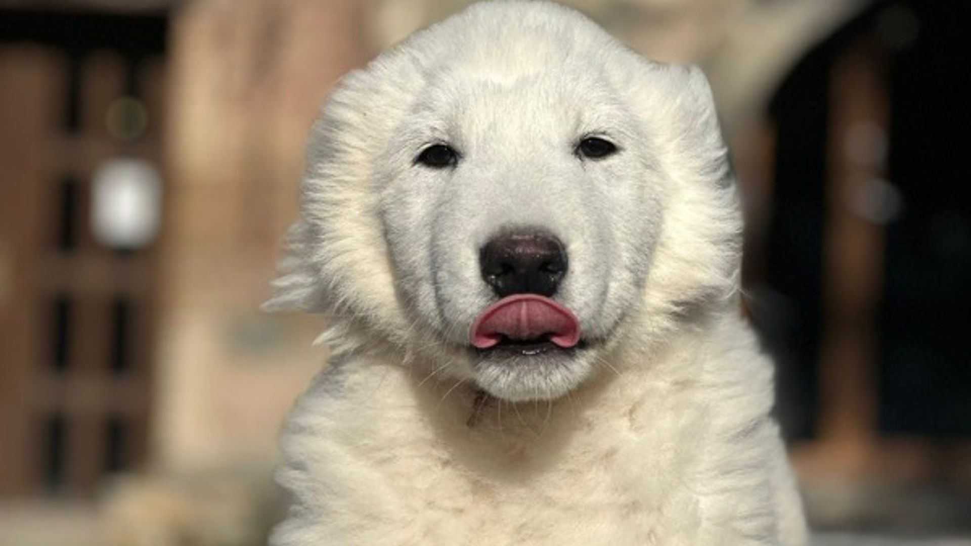 [Translate to Deutsch:] 