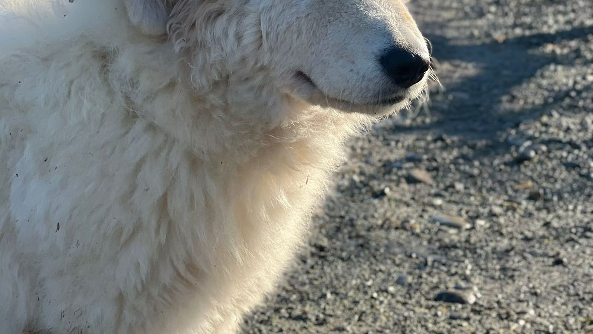 [Translate to Deutsch:] 