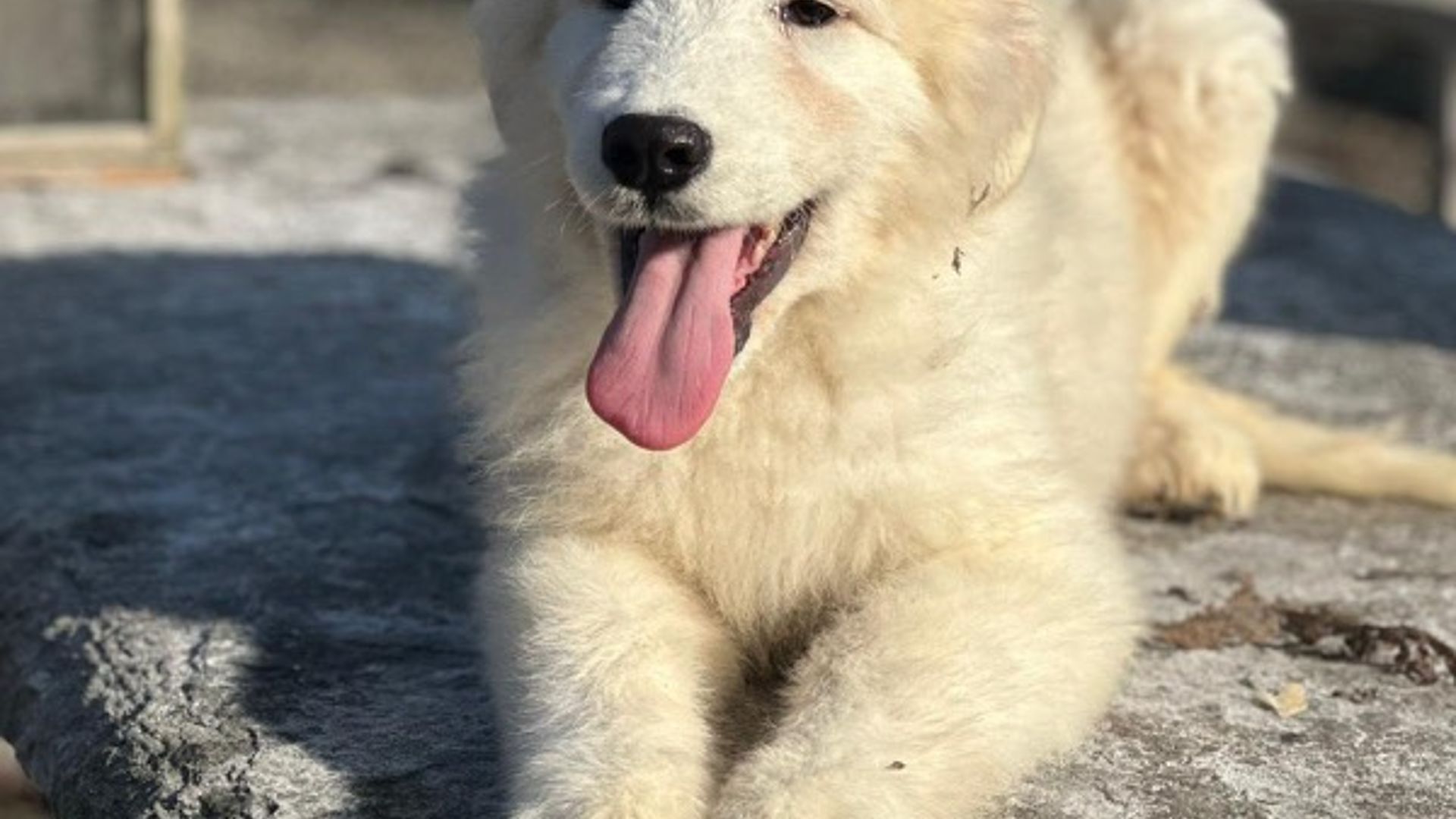 [Translate to Deutsch:] 