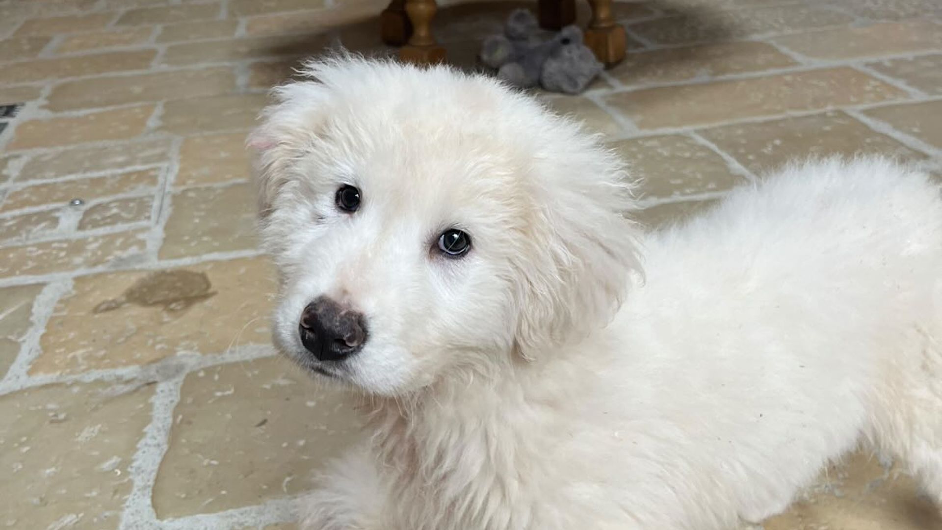 [Translate to Deutsch:] 