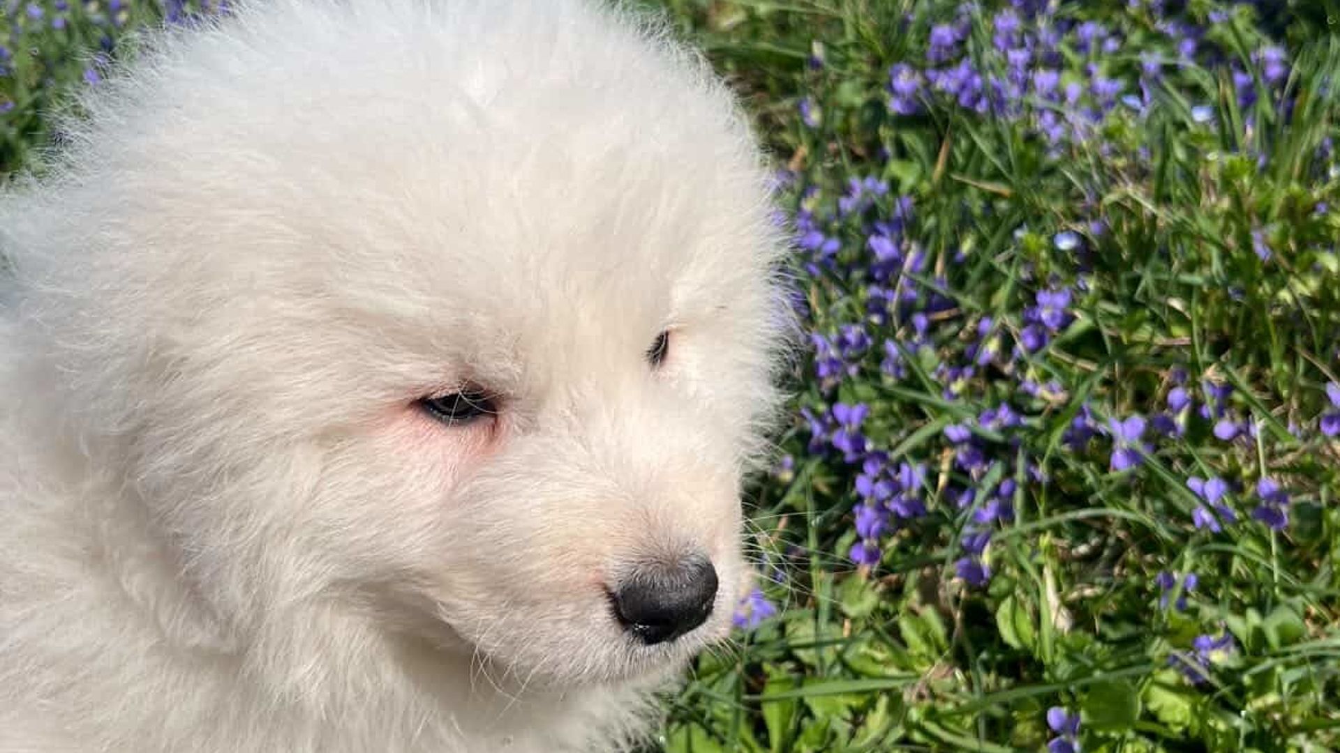 [Translate to Deutsch:] 