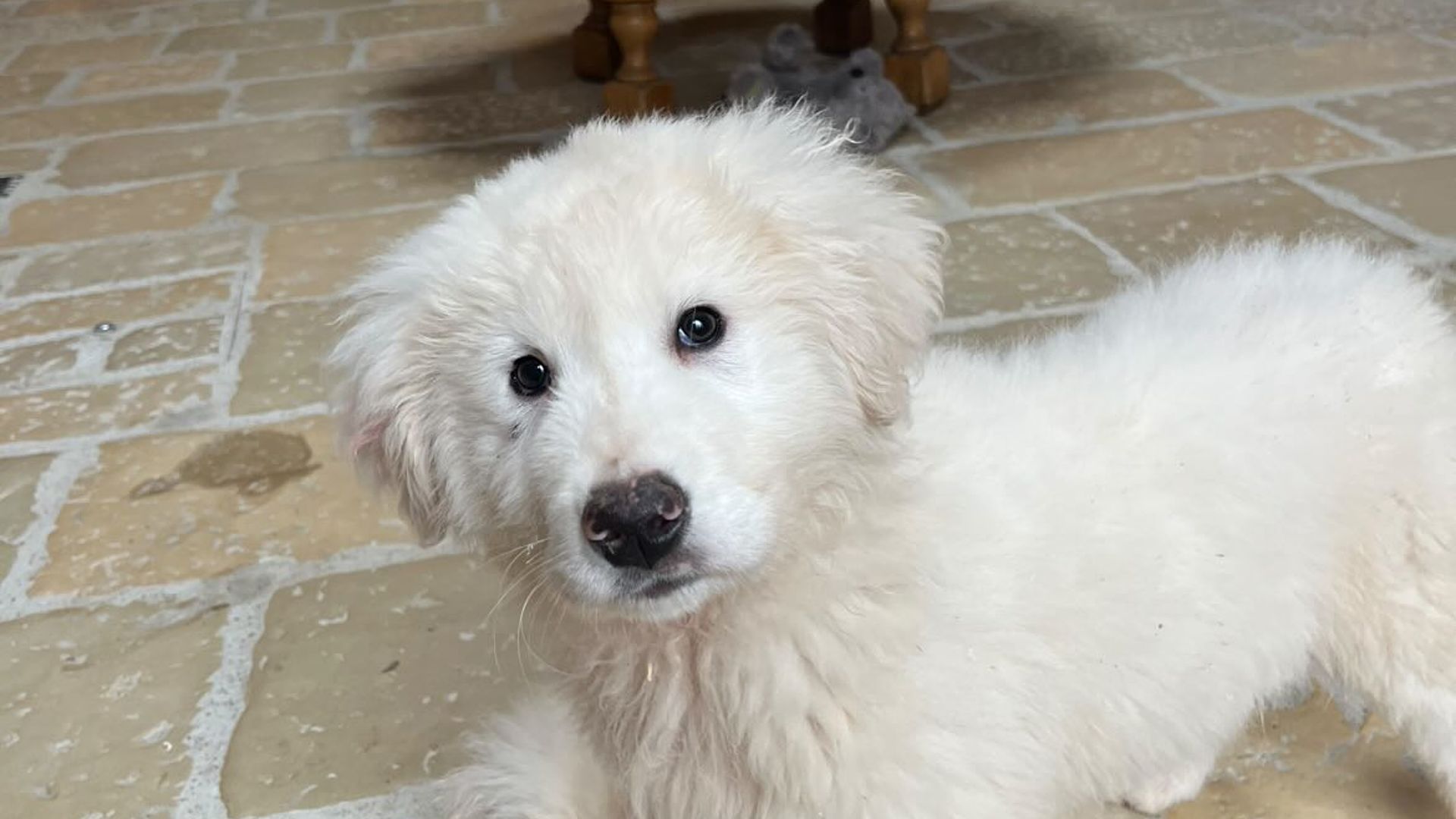 [Translate to Deutsch:] 