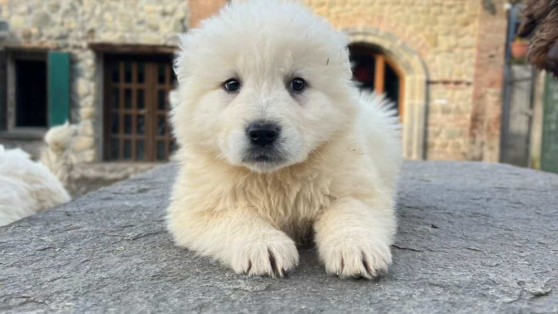 [Translate to Deutsch:] 