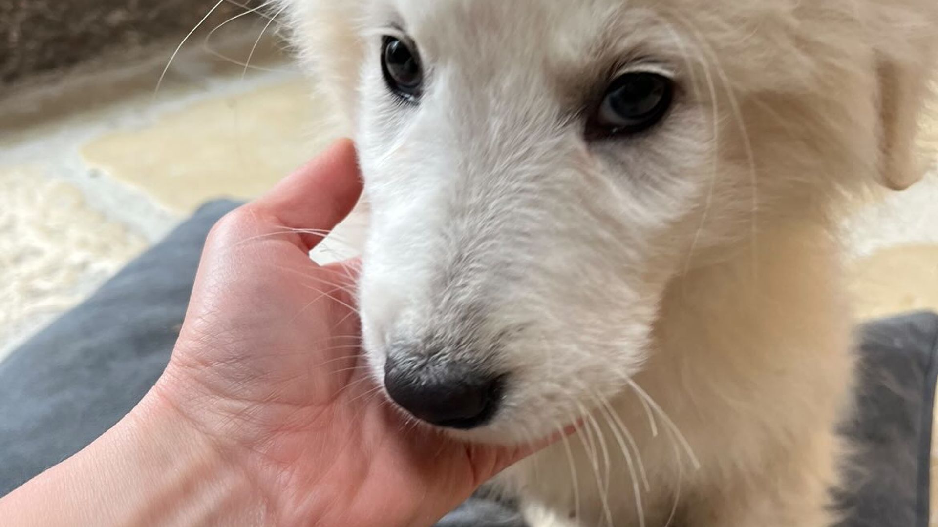 [Translate to Deutsch:] 