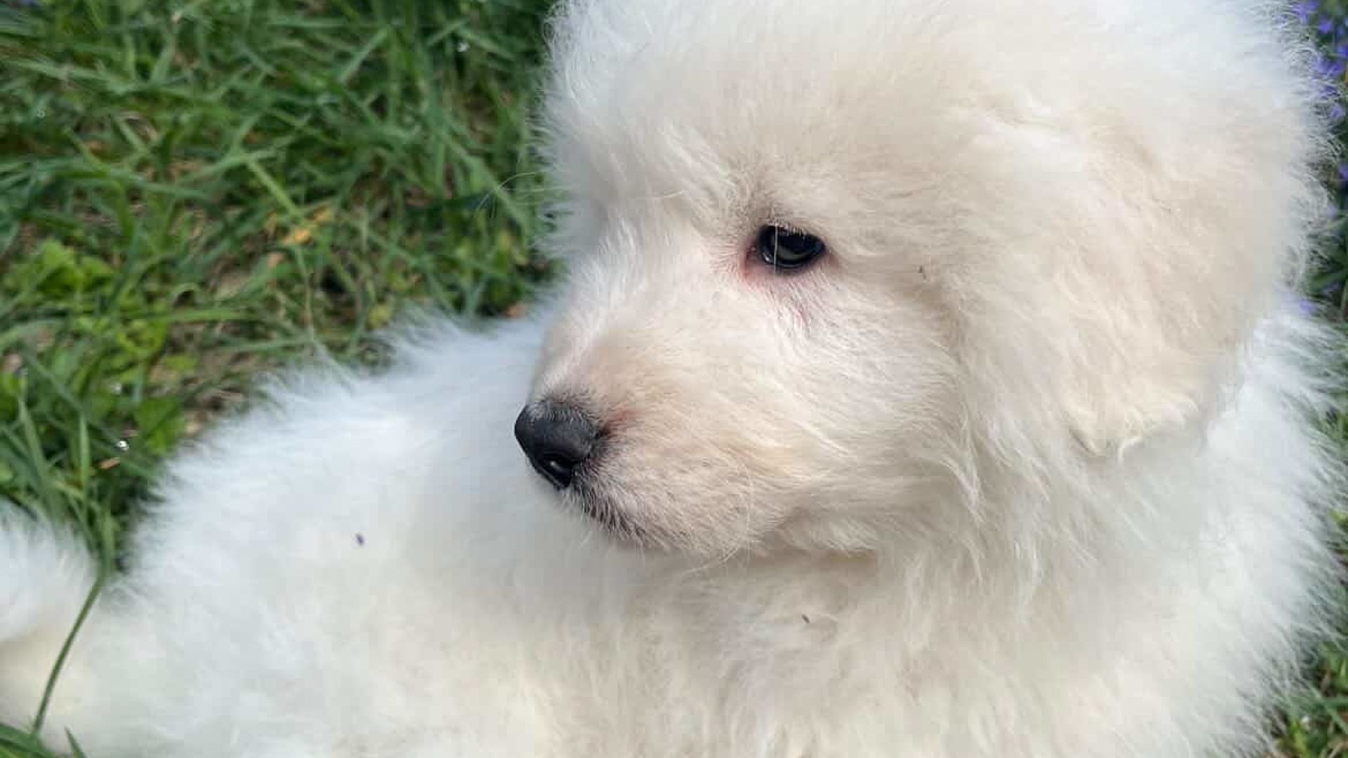 [Translate to Deutsch:] 