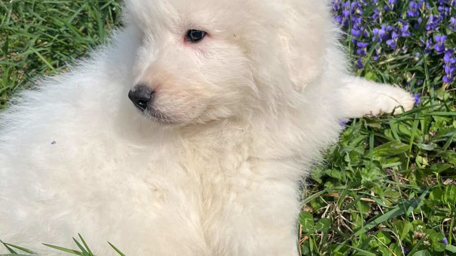 [Translate to Deutsch:] 