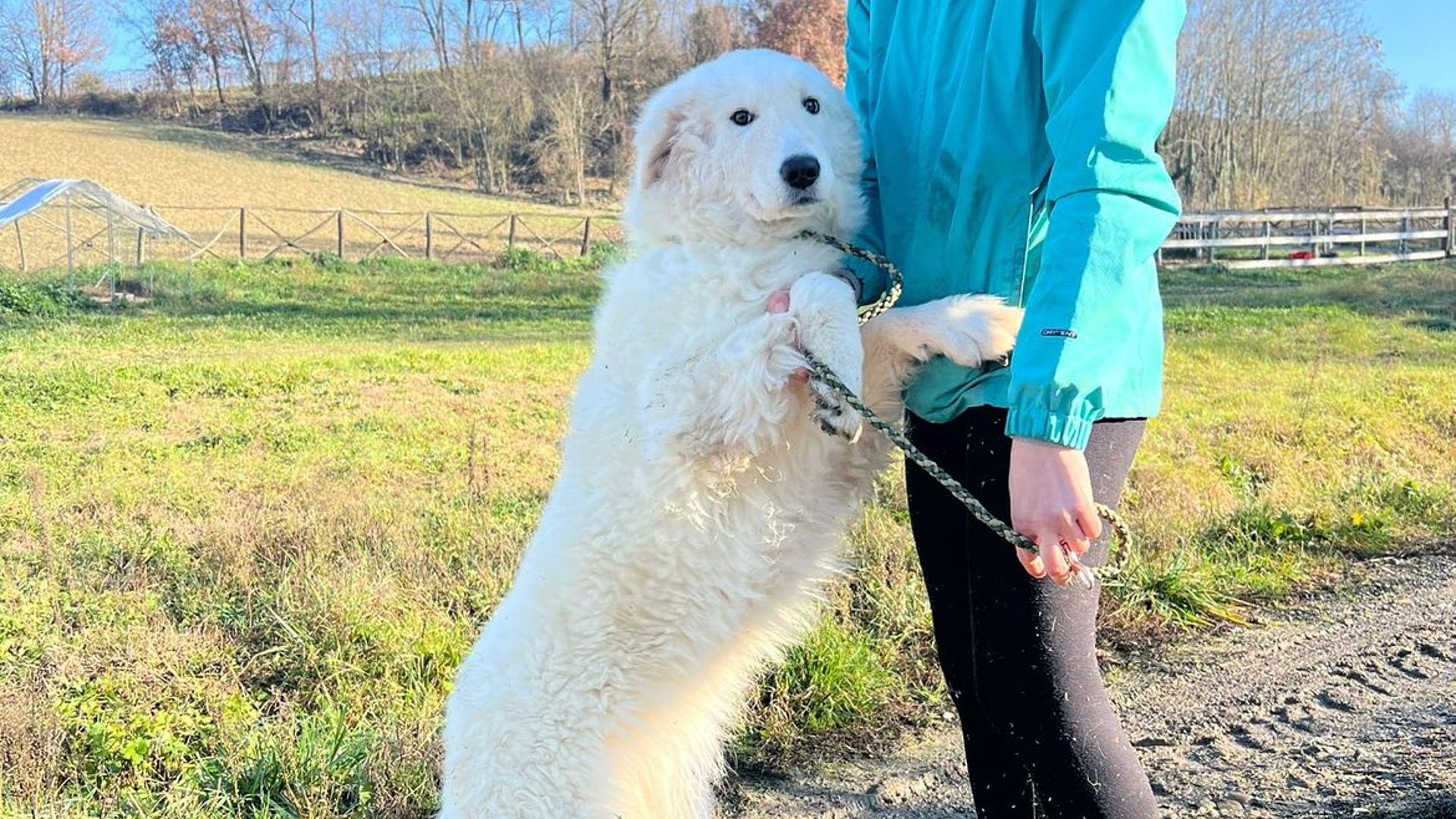 [Translate to Deutsch:] 