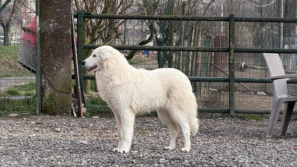 [Translate to Deutsch:] 