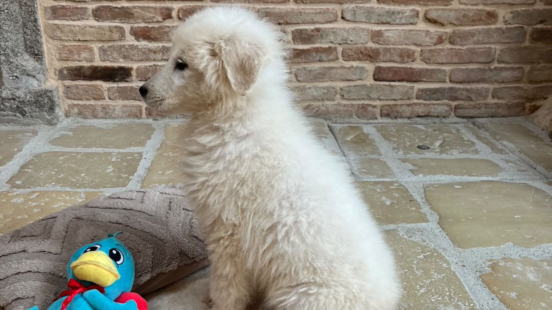 [Translate to Deutsch:] 