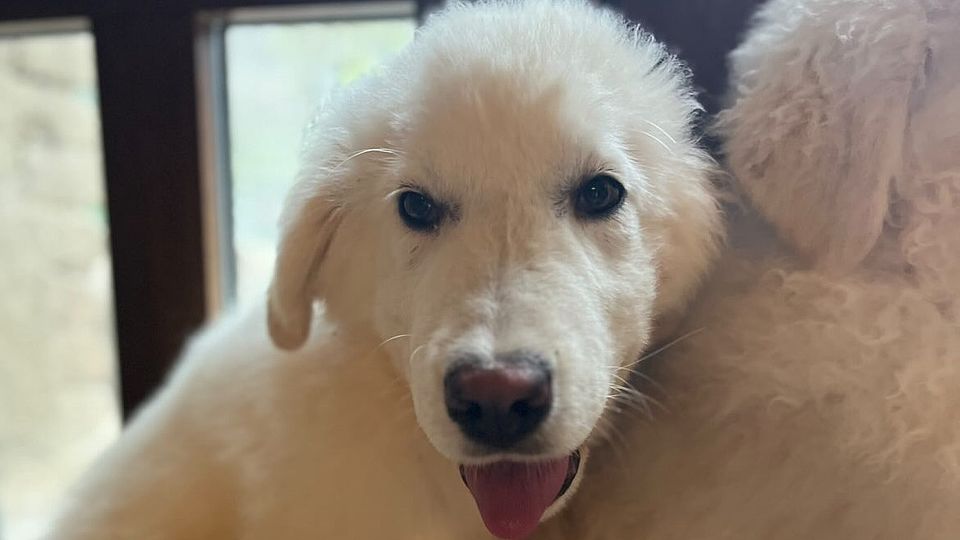 [Translate to Deutsch:] 