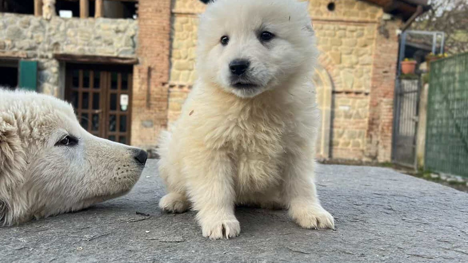 [Translate to Deutsch:] 