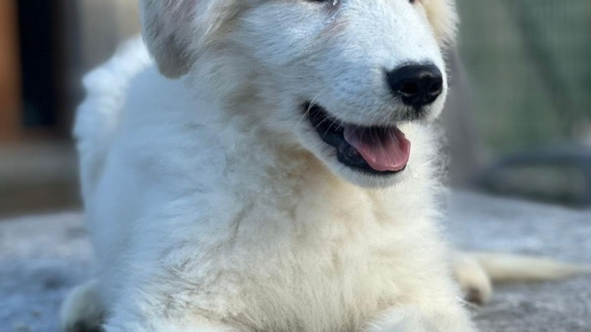 [Translate to Deutsch:] 