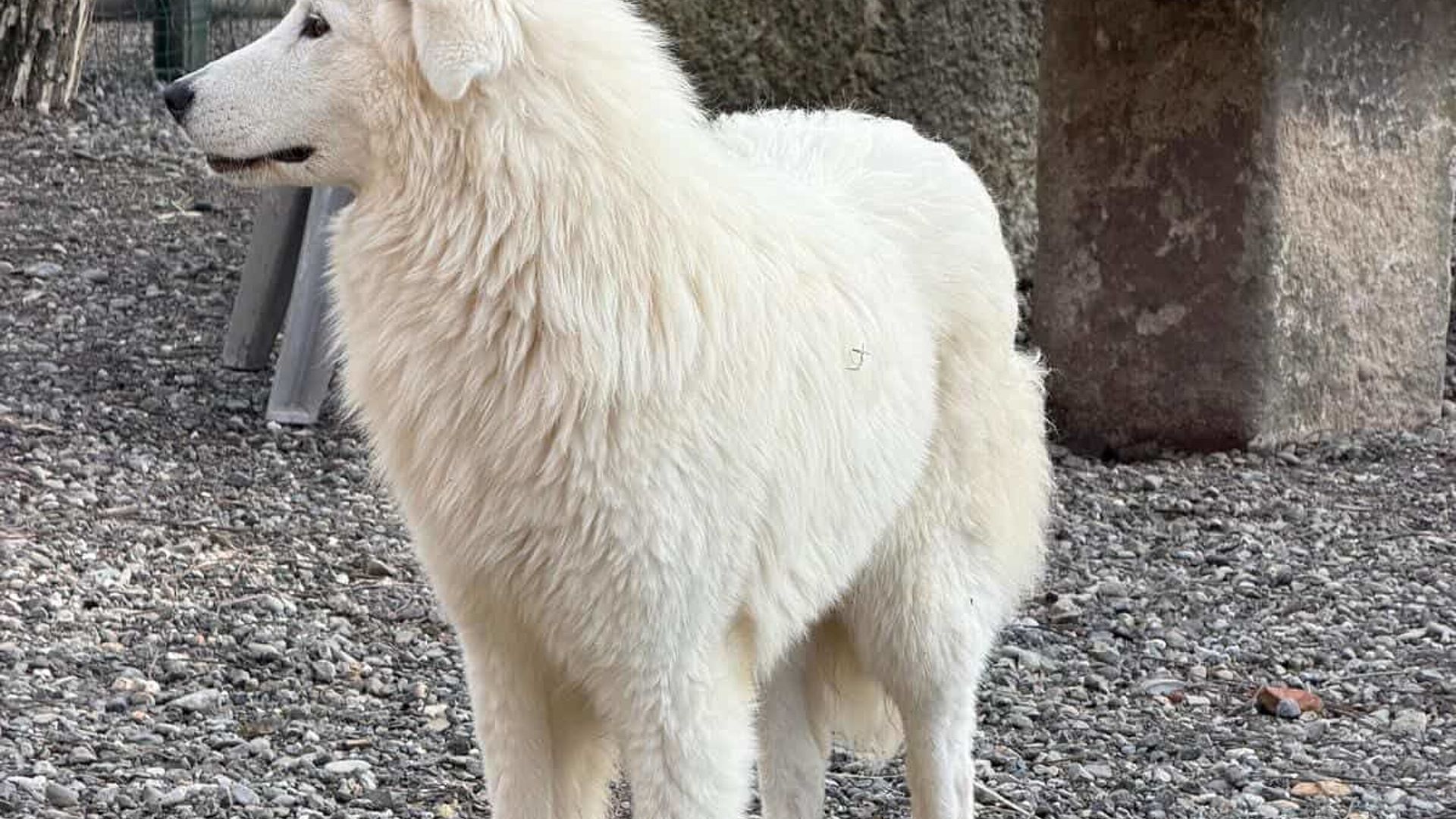 [Translate to Deutsch:] 