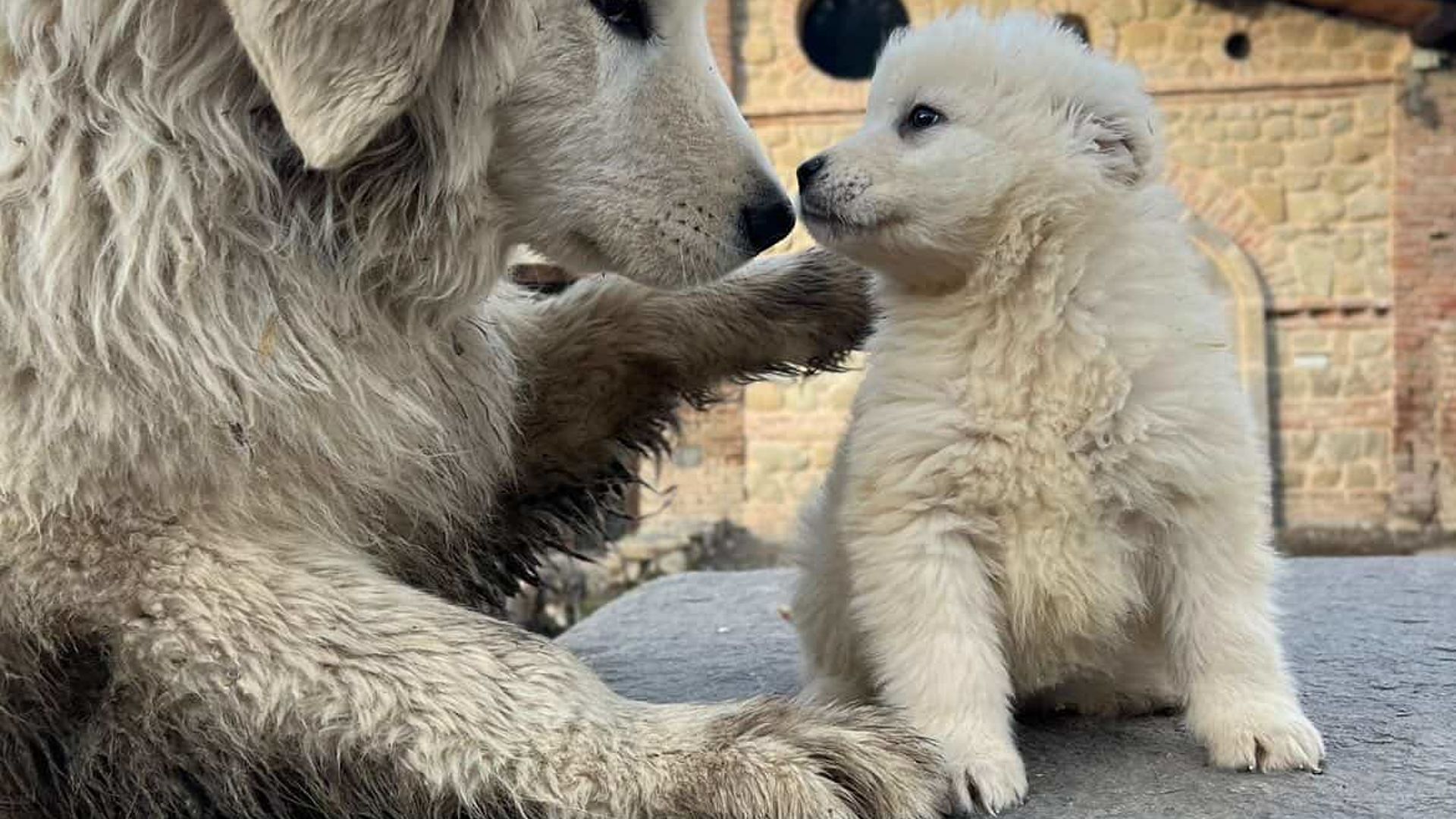 [Translate to Deutsch:] 