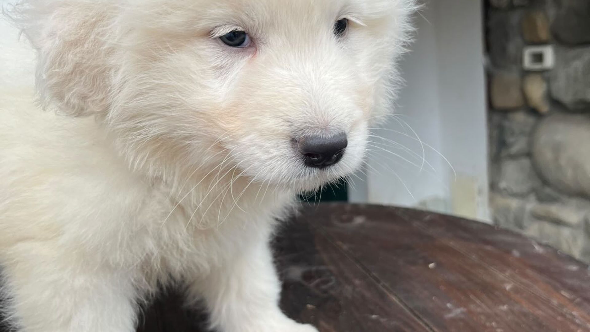 [Translate to Deutsch:] 