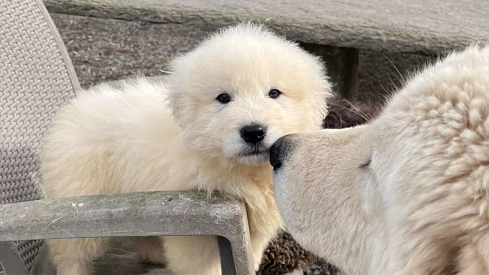 [Translate to Deutsch:] 