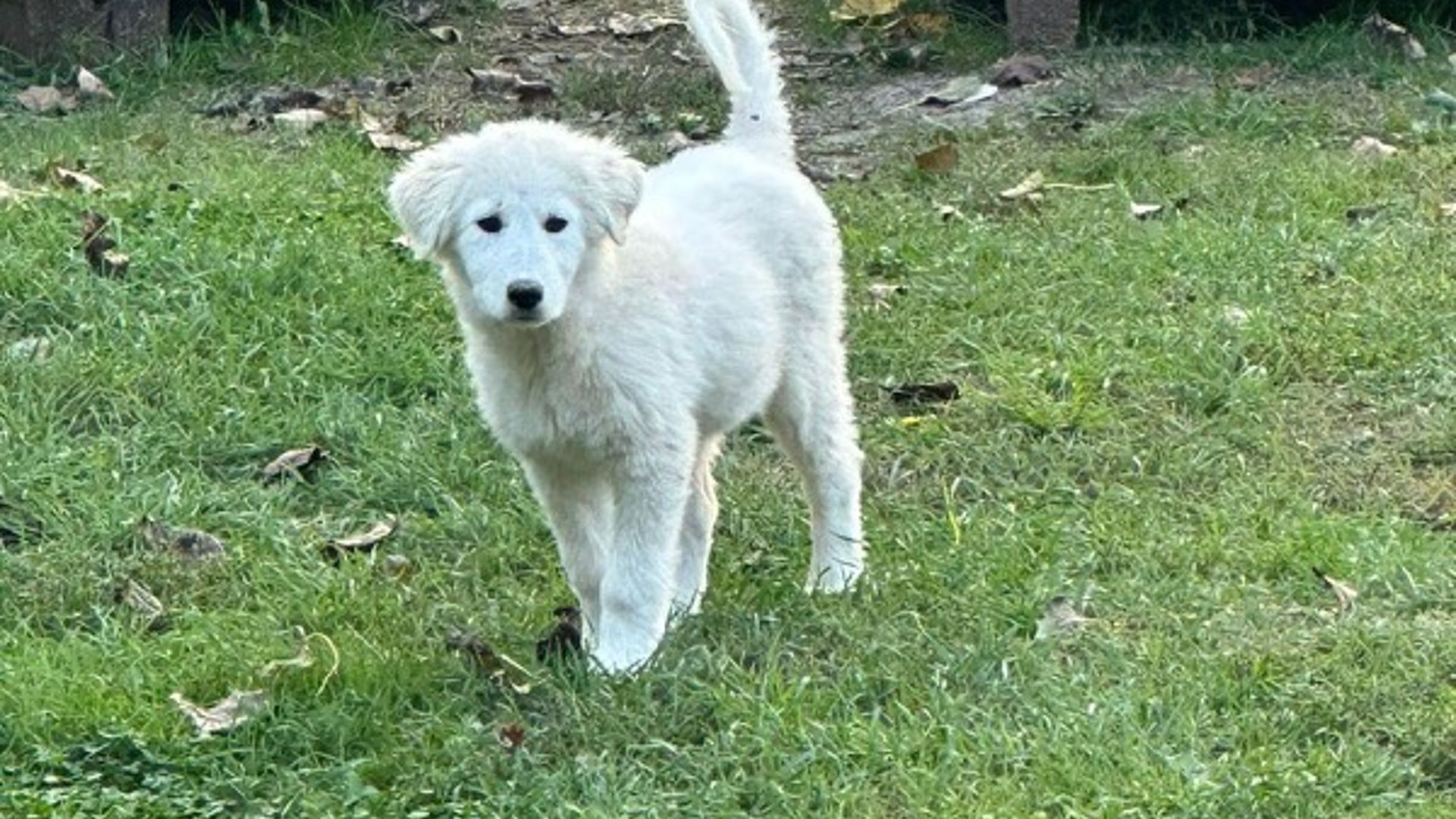 [Translate to Deutsch:] 