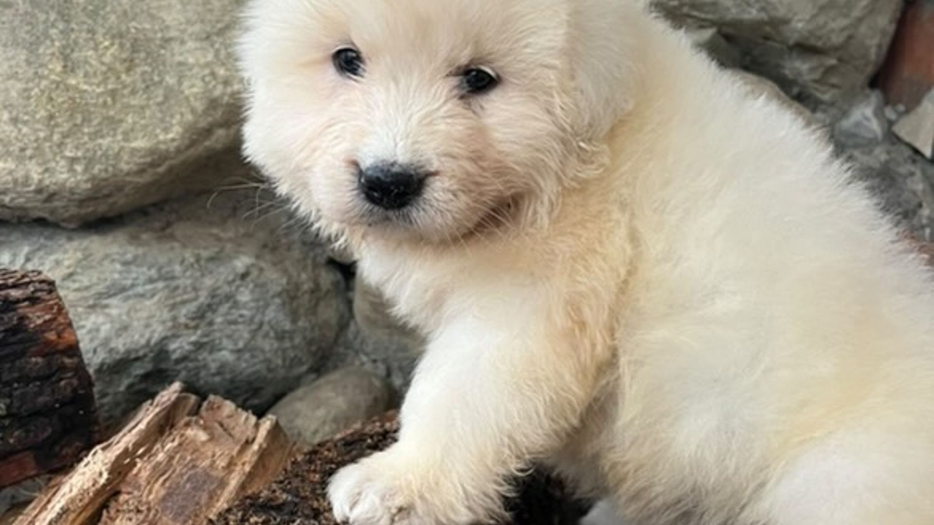 [Translate to Deutsch:] 