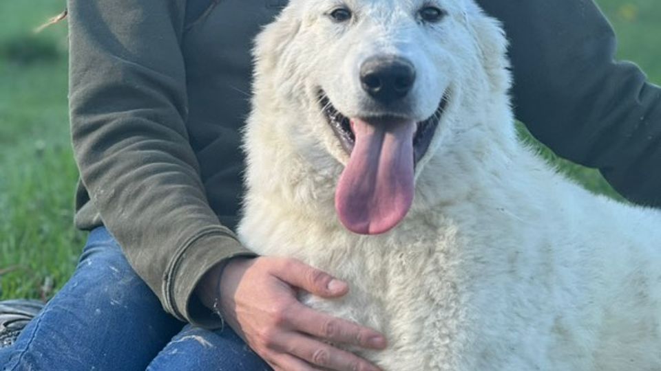 [Translate to Deutsch:] 