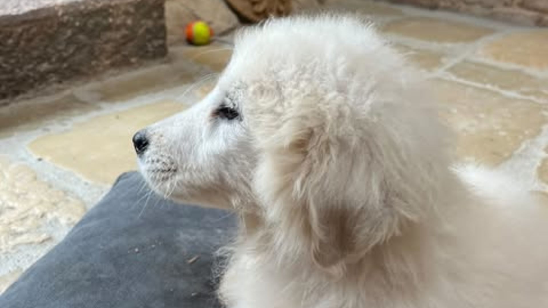 [Translate to Deutsch:] 