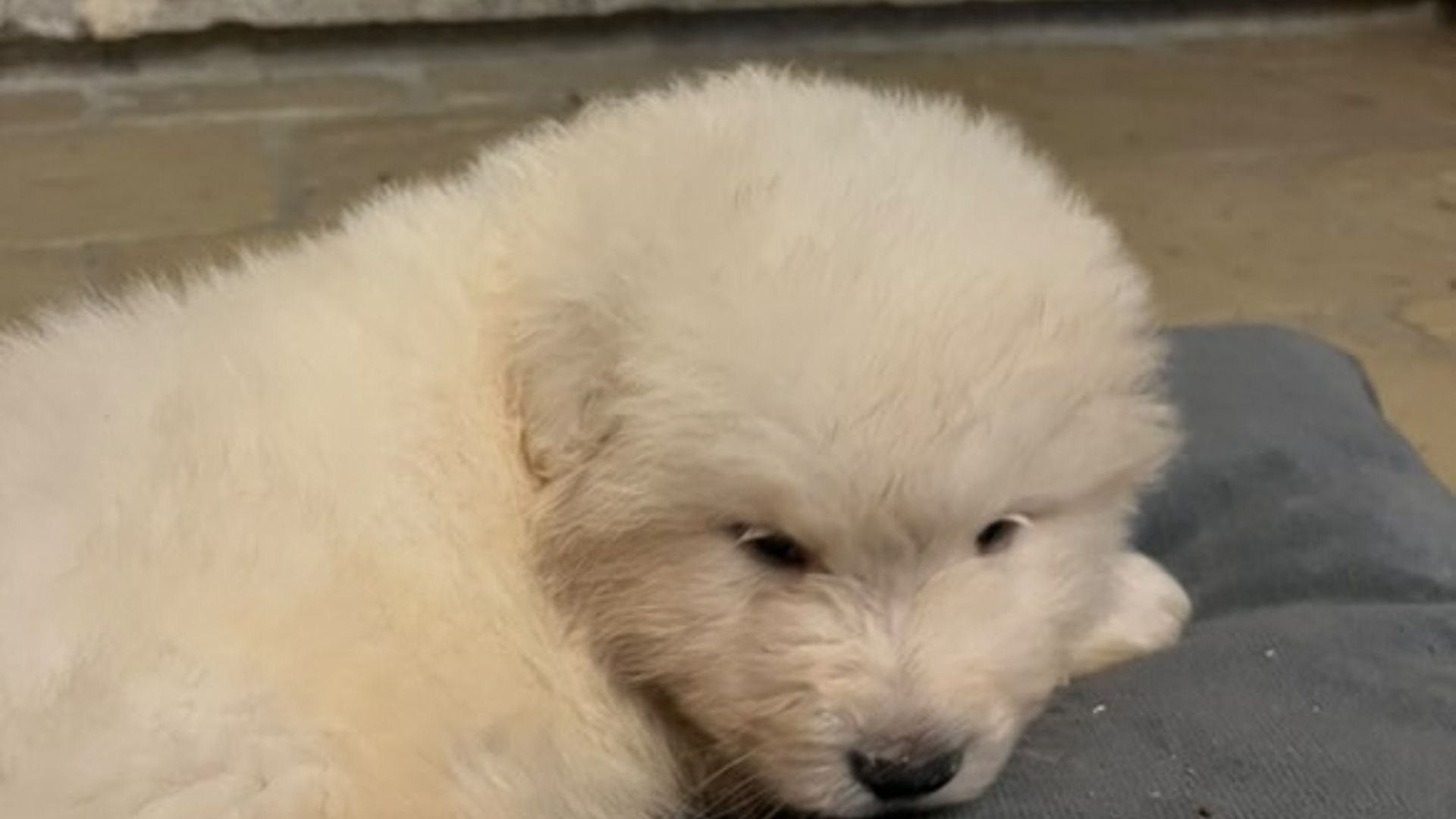 [Translate to Deutsch:] 