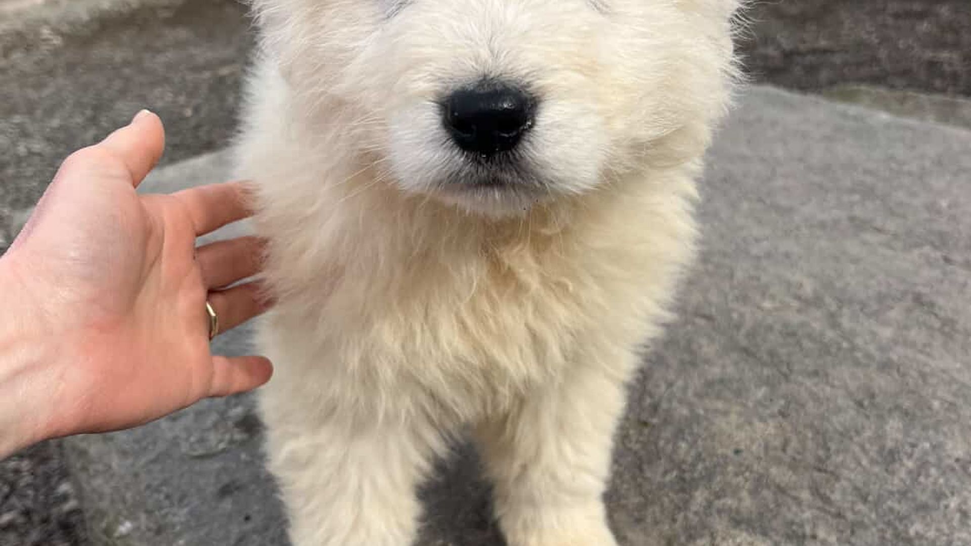 [Translate to Deutsch:] 