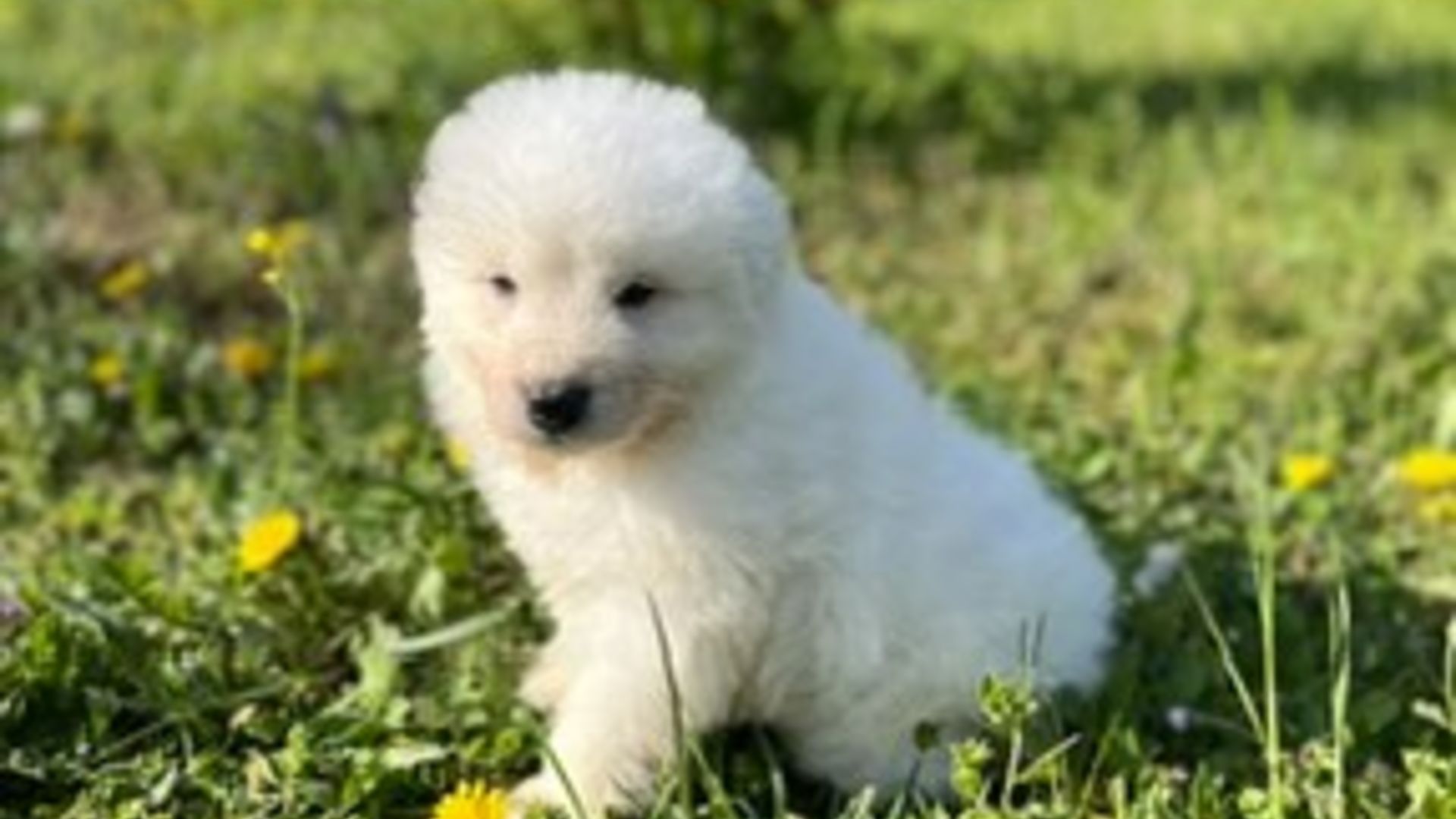 [Translate to Deutsch:] 