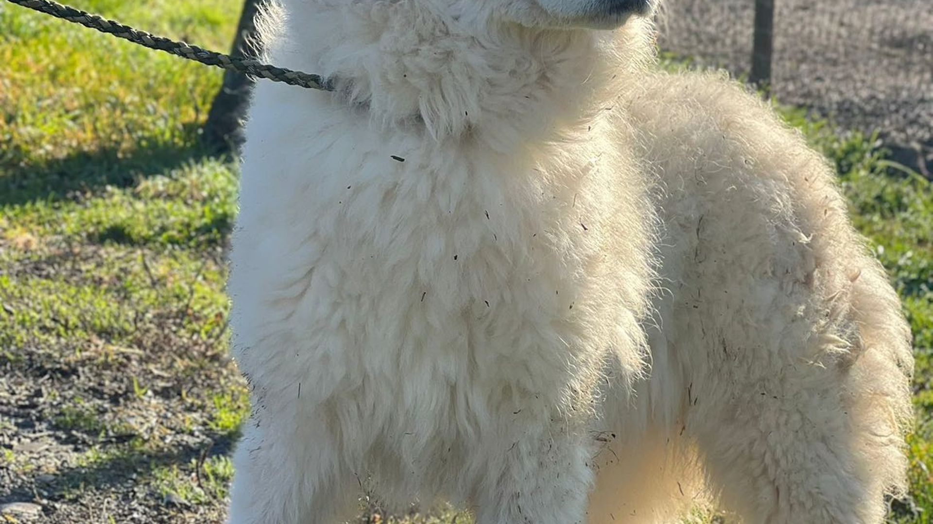 [Translate to Deutsch:] 