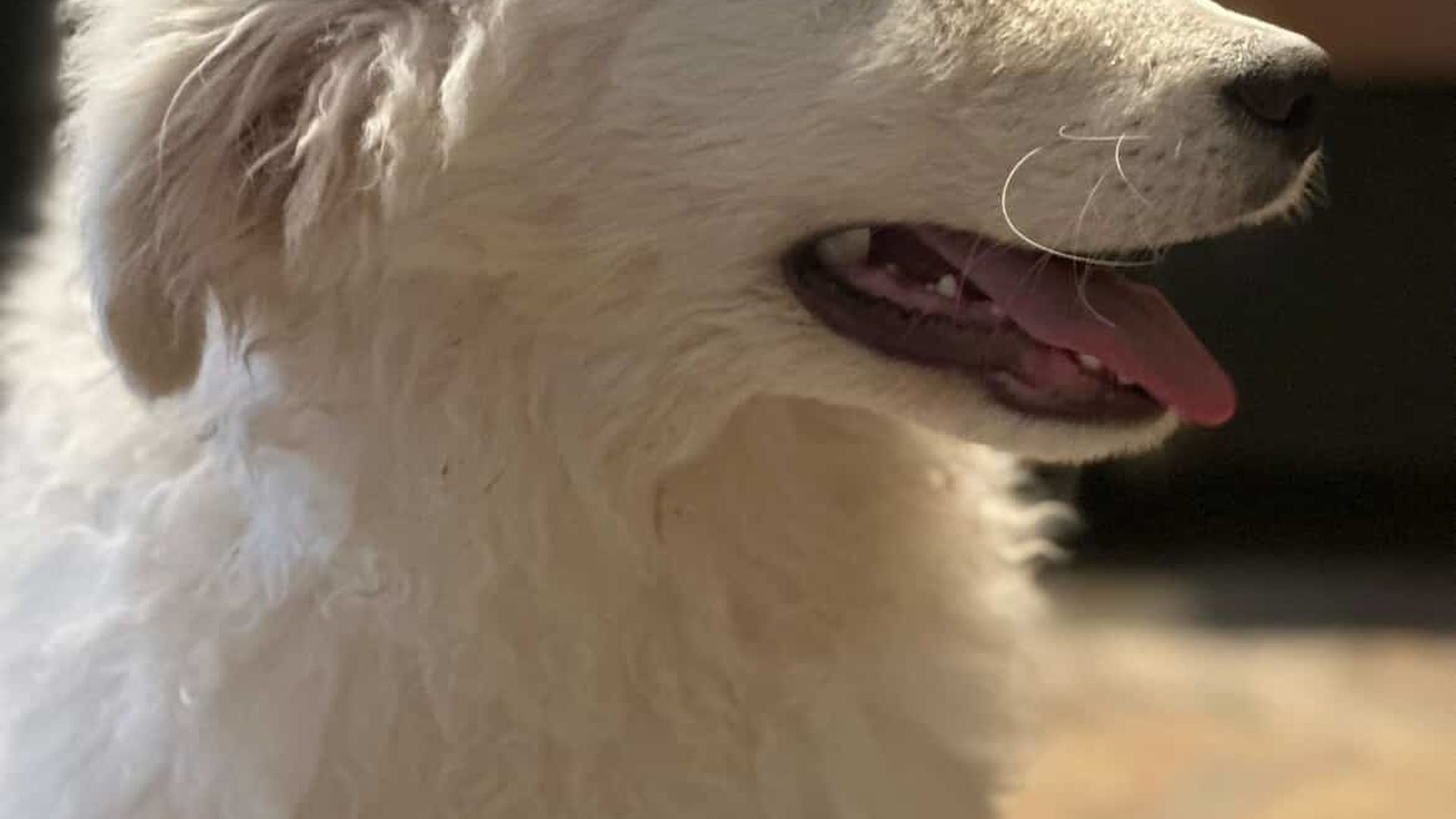 [Translate to Deutsch:] 