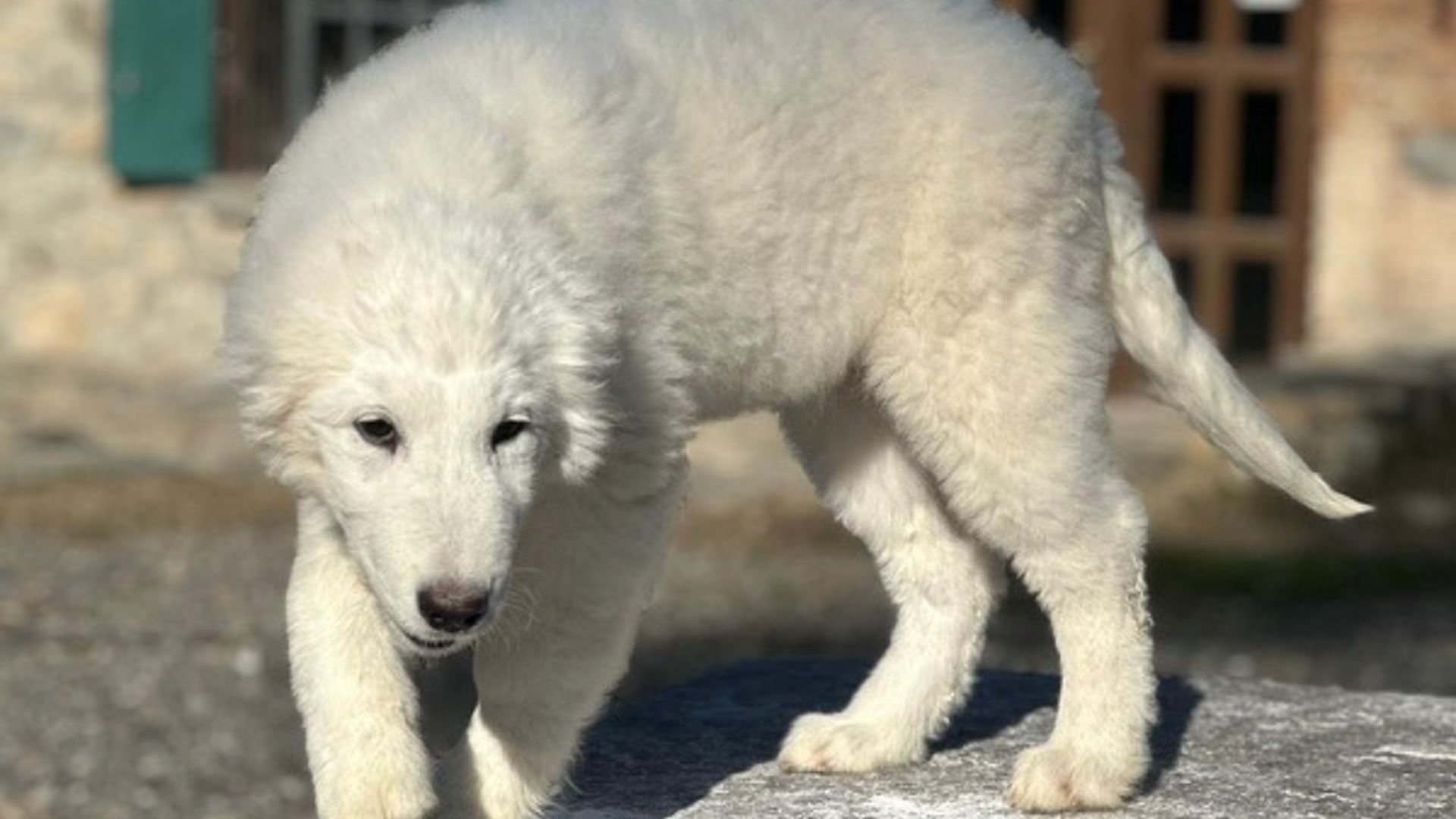 [Translate to Deutsch:] 