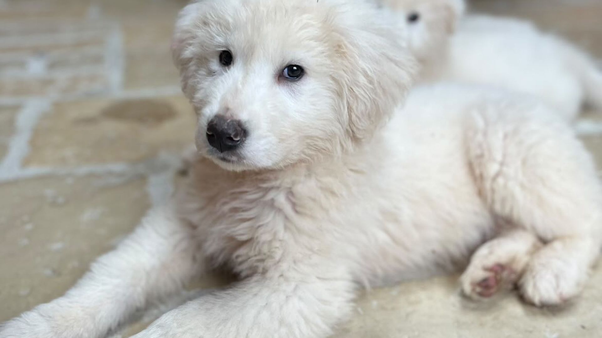 [Translate to Deutsch:] 