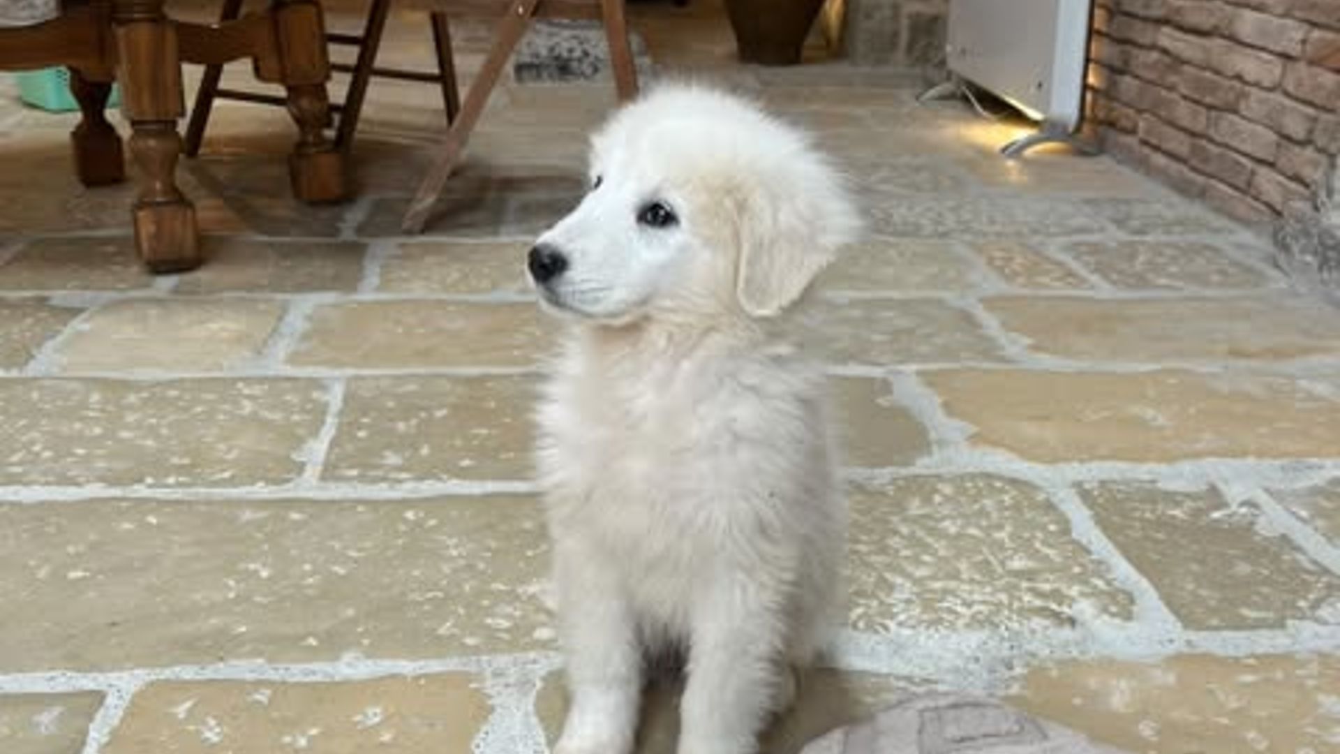 [Translate to Deutsch:] 