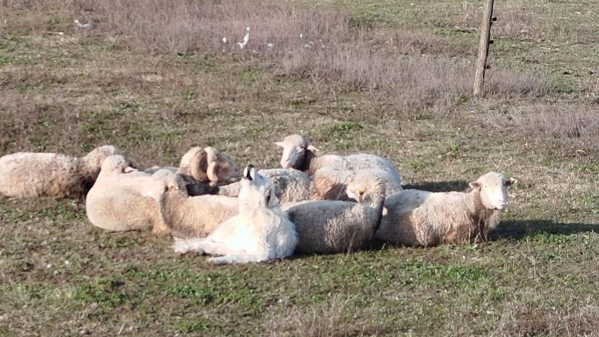 [Translate to Deutsch:] 