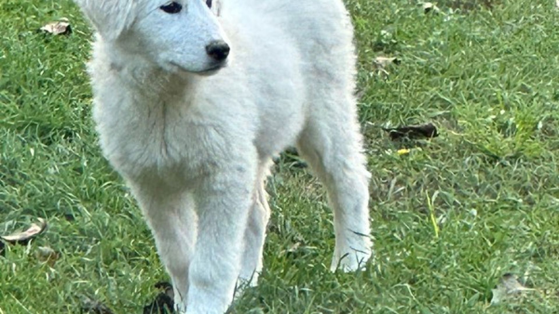 [Translate to Deutsch:] 