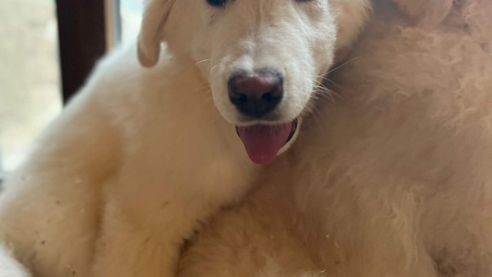 [Translate to Deutsch:] 