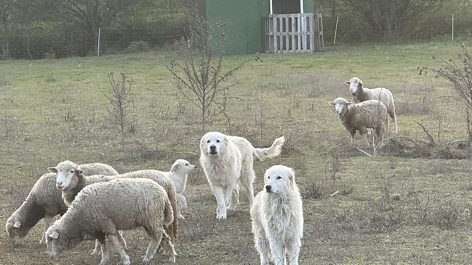 [Translate to Deutsch:] 