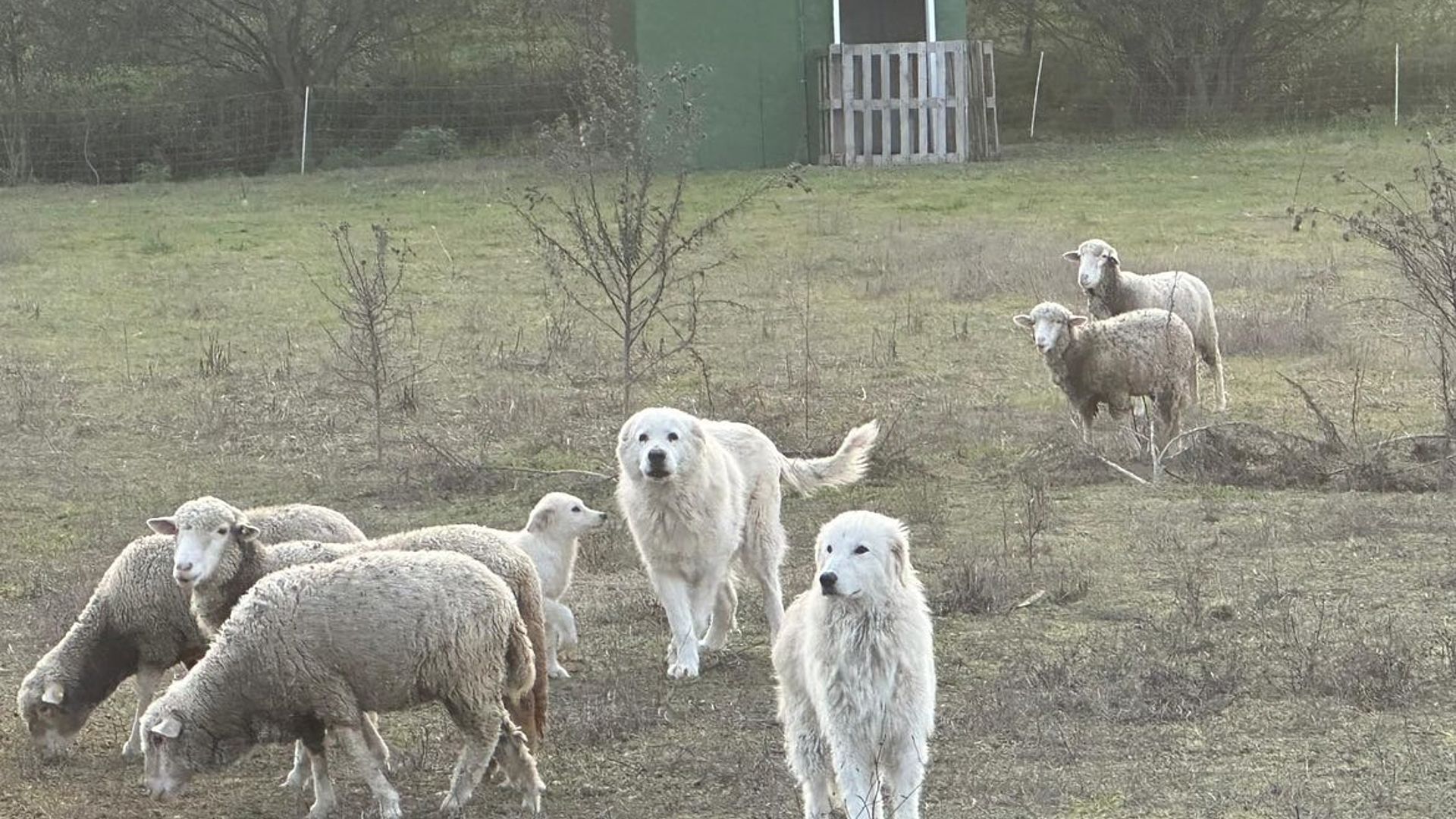 [Translate to Deutsch:] 