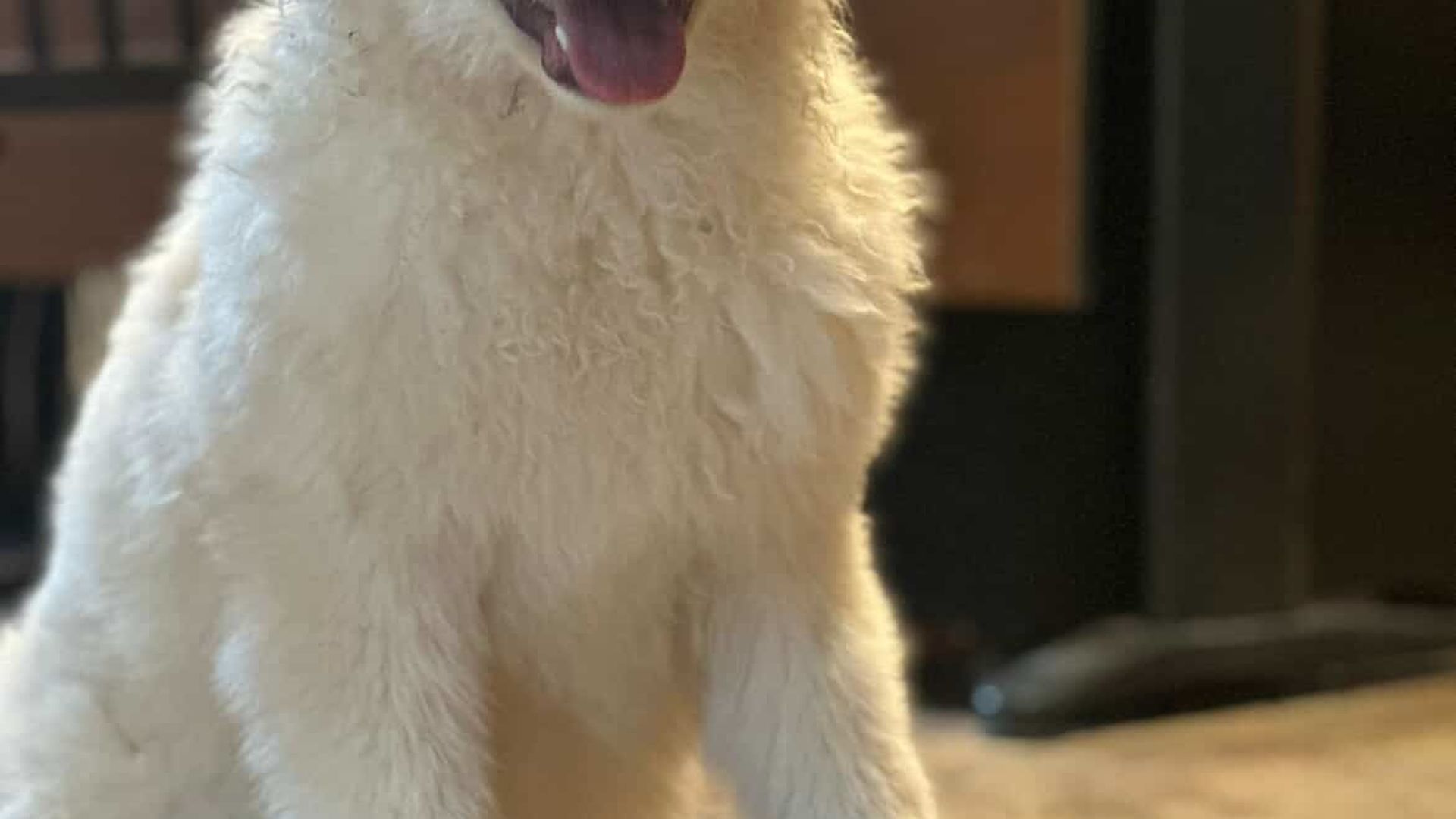 [Translate to Deutsch:] 