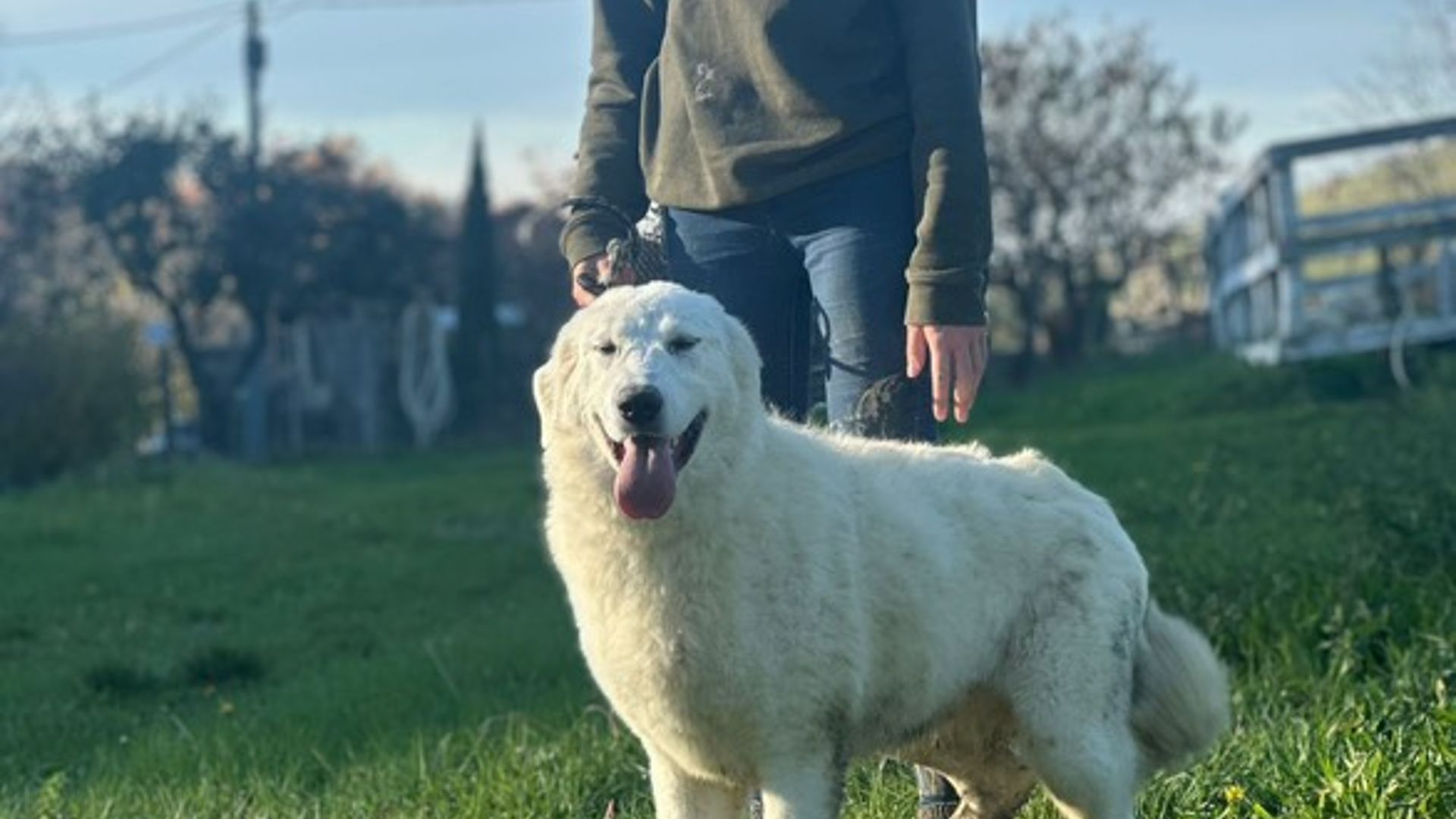 [Translate to Deutsch:] 