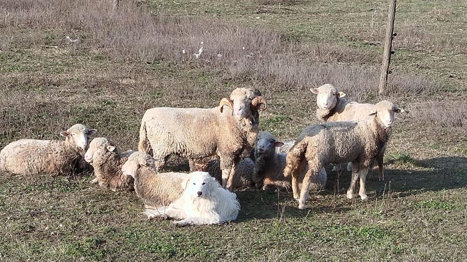 [Translate to Deutsch:] 