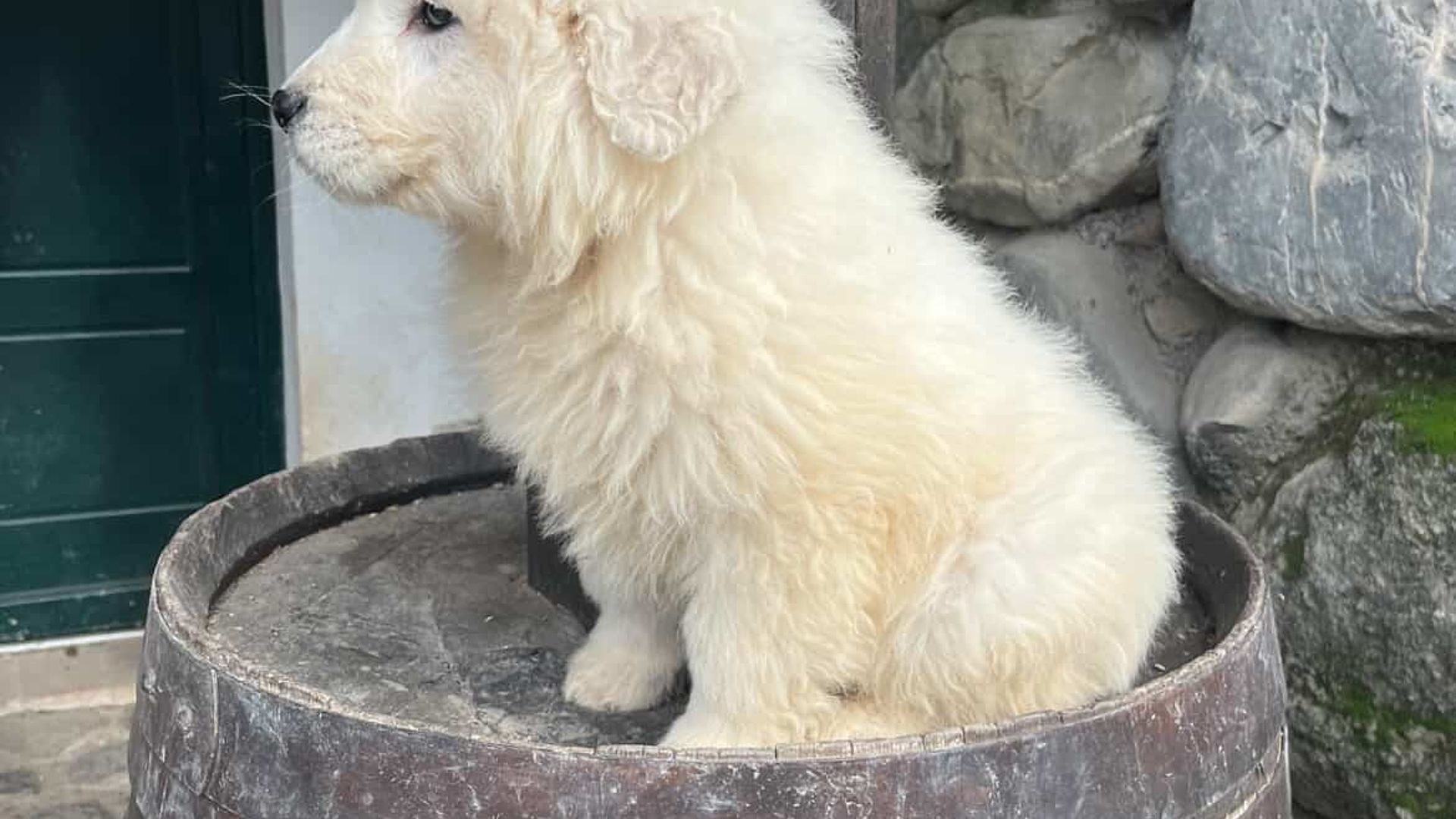 [Translate to Deutsch:] 