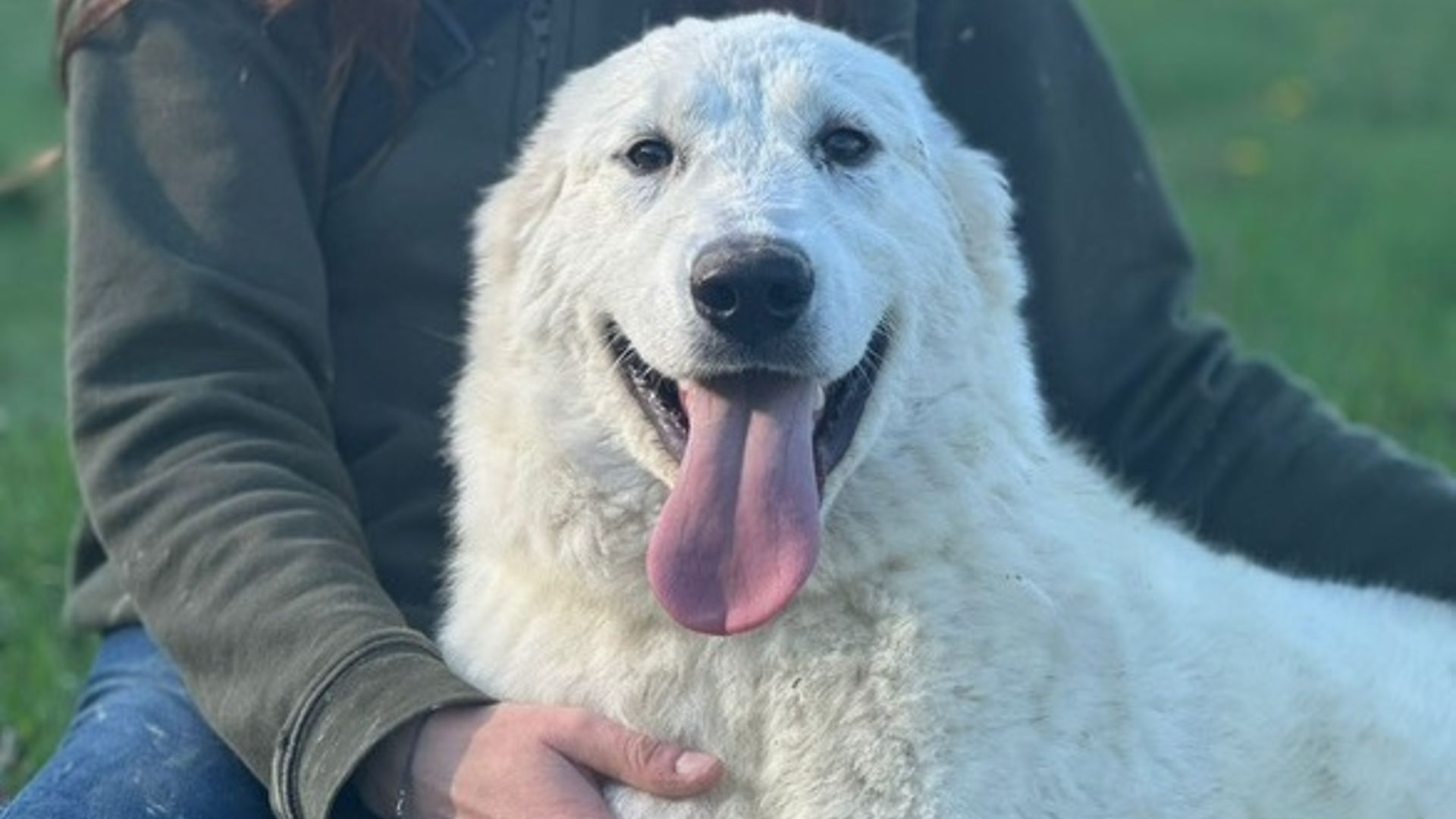 [Translate to Deutsch:] 